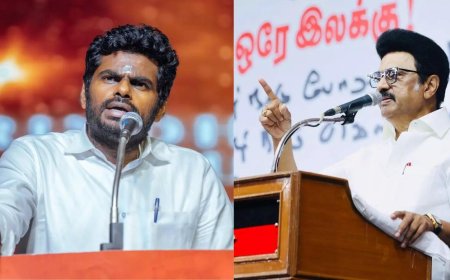 तमिलनाडु में हिंदी के खिलाफ हल्लाबोल, डीएमके ने 1965 जैसा विरोध प्रदर्शन करने की चेतावनी दी