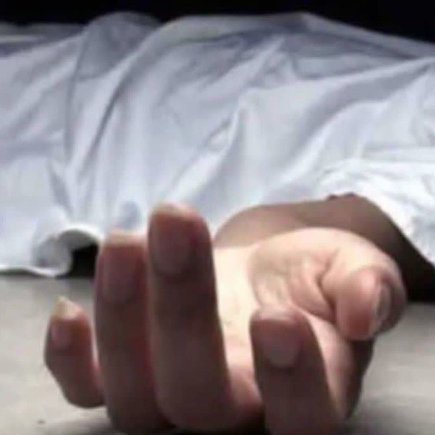 शिमला के पगोग नाले में मिला व्यक्ति का शव: पहचान अब तक अज्ञात, पुलिस ने जताई पानी में बहकर आने की आशंका