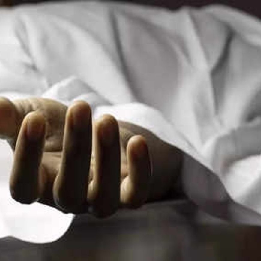 अर्की में गड्ढे में गिरने से व्यक्ति की मौत:शादी समारोह से लौटते समय पांव फिसला; जांच कर रही पुलिस