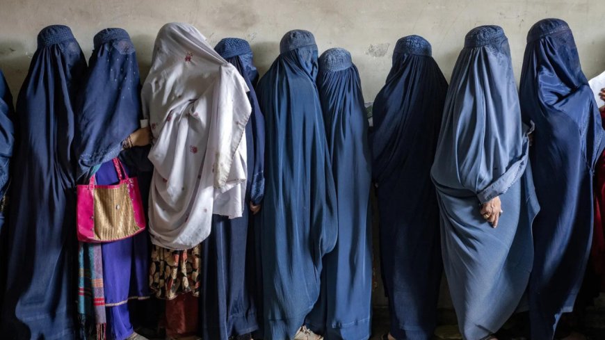 Taliban claim women's rights are protected, UN decries bans