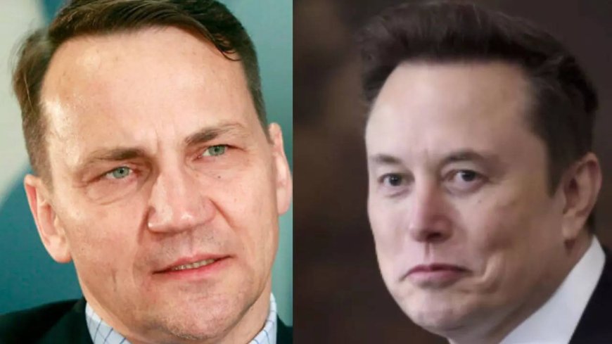 'Be quiet, small man’: Elon Musk's exchange with Polish minister over Starlink