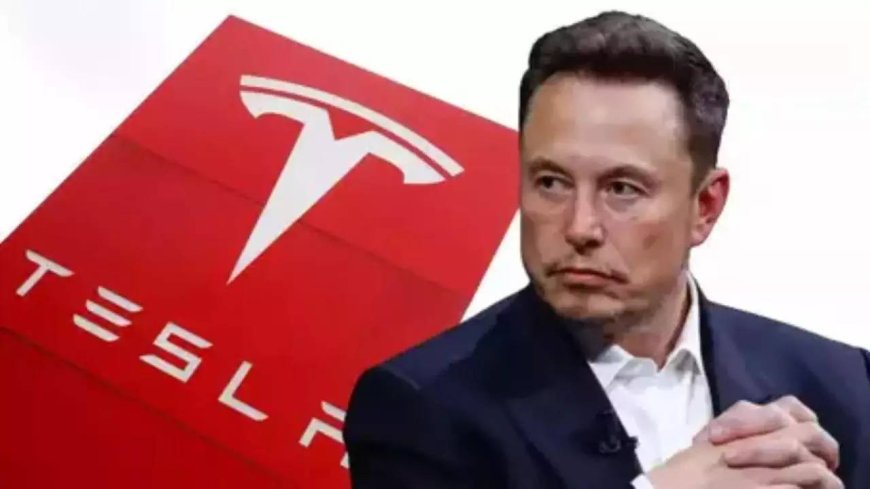 'Super messed up': Elon Musk slams applause for Tesla attacks on The Daily Show