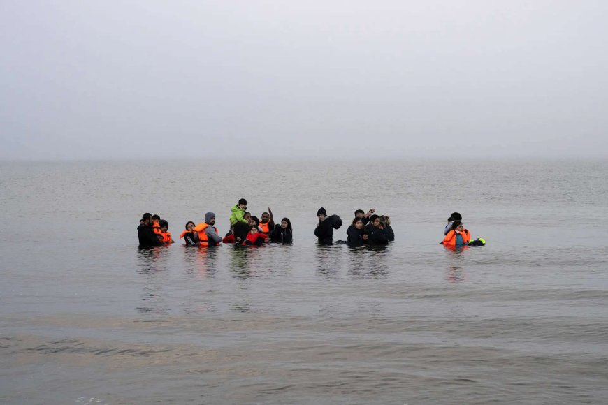 Migrant deaths reach record high in 2024, IOM says