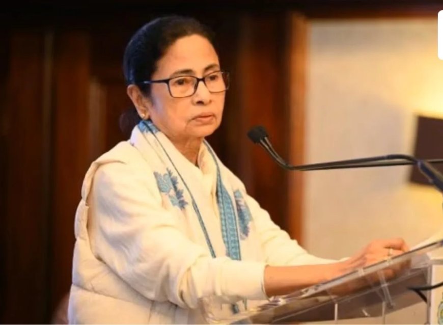 लंदन जाकर ‘राहुल’ बनीं ममता, भारत की आर्थिक ताकत को नकार कर खुद को किया अपमानित