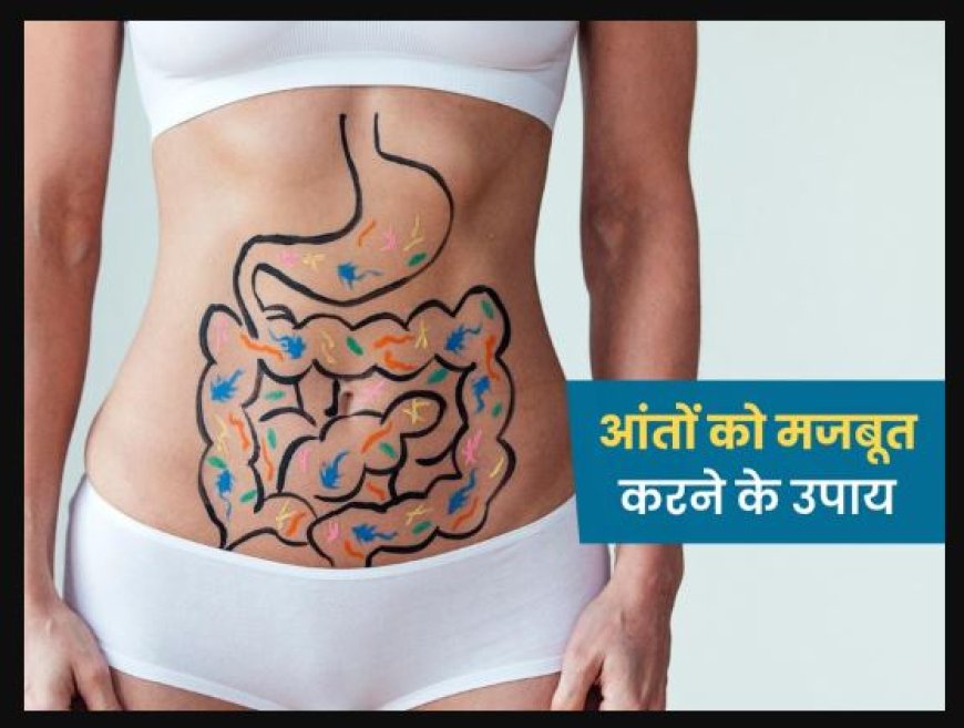 आंत में पाए जाने वाले बैक्टीरिया और आंतों को स्वस्थ रखने के उपाय