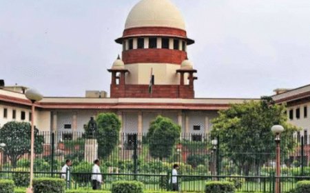 सुप्रीम कोर्ट से सस्पेंड डायरेक्टर को अग्रिम जमानत:हिमाचल हाईकोर्ट ने पुलिस रिपोर्ट के आधार पर खारिज की थी अंतरिम जमानत, विमल नेगी मौत मामला