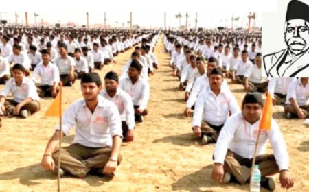 संगठन और लोकतंत्र