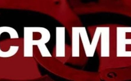 कांगड़ा में रिश्वत लेते कानूनगो और पटवारी गिरफ्तार:सीमांकन के लिए मांगी थी रकम, 8 हजार की नकदी जब्त