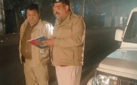 हिमाचल में कार रेंटल स्कैम का भंडाफोड़:लग्जरी कारों के नाम पर करोड़ों की धोखाधड़ी, एक जालसाज काबू, 12 गाड़ियां जब्त