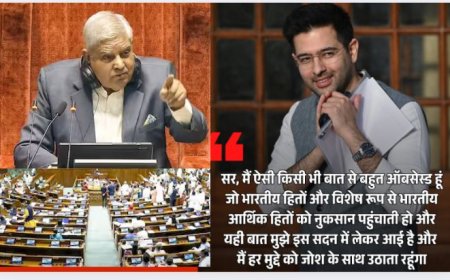 राज्यसभा में धनखड़ और राघव चड्ढा के बीच तीखी नोकझोंक, ‘Obsessed’ शब्द बना बहस का कारण