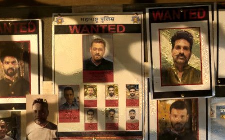 फिल्म सिकंदर का 200 करोड़ बजट निकल पाना भी मुश्किल:7वें दिन भारत में कमाए महज 3.75 करोड़, मेकर्स का दावा-वर्ल्डवाइड कलेक्शन 175 करोड़ हुआ