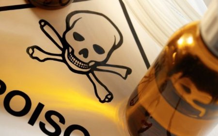 कांगड़ा में नौकर ने परिवार को जहर दिया:खाने में मिलाया, तबीयत बिगड़ने के बाद अस्पताल पहुंचाए; आरोपी फरार