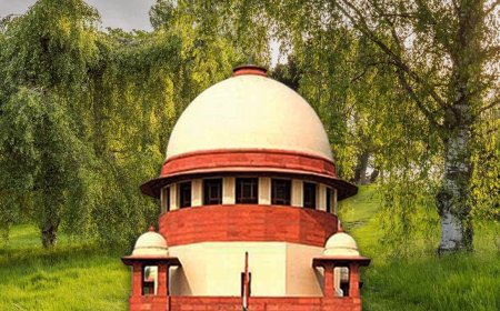 बीएड डिग्रीधारी शिक्षकों के लिए छह माह का ब्रिज कोर्स तैयार, सुप्रीम कोर्ट ने दिया था प्रशिक्षण का आदेश