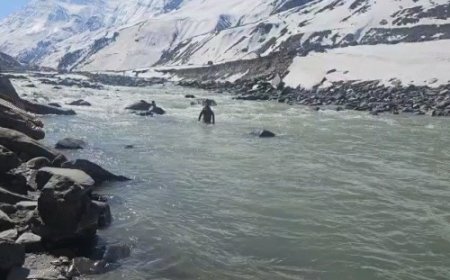 हिमाचल की चंद्रा नदी में डूबा झारखंड का टूरिस्ट:72 घंटे बाद भी सुराग नहीं, 5 टीमें कर रही तलाश; दूसरे दोस्त का शव बरामद