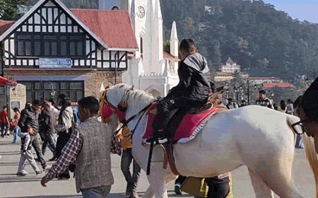 हिमाचल में 4 दिन बारिश के आसार:आज से एक्टिव होगा वेस्टर्न डिस्टरबेंस; तूफान और आसमानी बिजली गिरने की चेतावनी