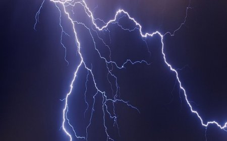 हिमाचल में गिरी आकाशीय बिजली:100 से ज्यादा भेड़-बकरियों की मौत, तीन भाई बाल-बाल बचे