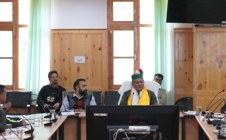 किन्नौर में वाहनों से ग्रीन टैक्स वसूली पर चर्चा:मंत्री नेगी का विभागों के तालमेल पर जोर, विकास कार्यों में तेजी