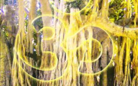 परिवार व्यवस्था को बचाने की चुनौती