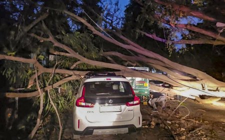 दिल्ली-NCR में आंधी-तूफान ने मचाई तबाही, बिल्डिंग की दीवार गिरने से 1 शख्स की मौत, 6 घायल