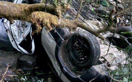 शिमला में 100 मीटर गहरी खाई में गिरी कार:ड्राइवर घायल; खनेरी अस्पताल में रेफर, सड़क पर रेलिंग नहीं होने से हादसा