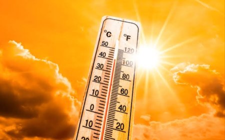मौसम विभाग ने फिर जारी किया हीट वेव का अलर्ट, 2 दिनों में ही पारा 41 डिग्री पार जाने की संभावना