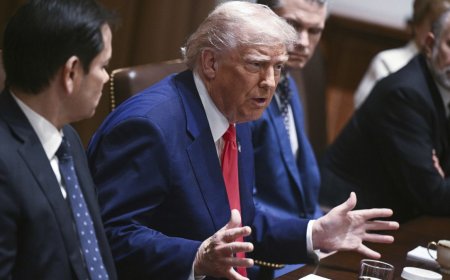 अवैध अप्रवासियों को लेकर ट्रंप का बड़ा ऐलान, कहा-"आप जाओ तो सही, टिकट हम देंगे"