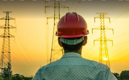 सरकारी नौकरी:महाराष्ट्र बिजली विभाग में 493 पदों पर निकली भर्ती; एज लिमिट 57 साल, सैलरी 2 लाख से ज्यादा