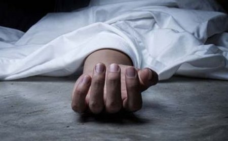 शिमला में टिपर खाई में गिरा:ड्राइवर की मौत, बजरी लेकर जा रहा था, शिमला-बिलासपुर NH पर हादसा