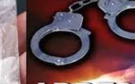 कुल्लू में चिट्टे समेत तीन तस्कर गिरफ्तार:होटल के कमरे में नशे का धंधा, पुलिस की रेड, दो महिलाएं शामिल