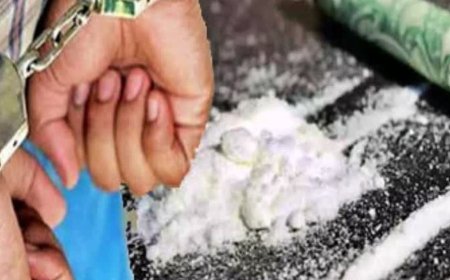 शिमला में अंतरराज्यीय नशा तस्करी गिरोह पकड़ा:जम्मू-कश्मीर से जुड़ा कनेक्शन, दो तस्कर गिरफ्तार; मुख्य आरोपी फरार