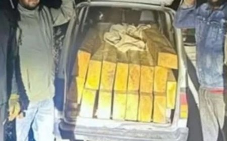 कुल्लू में देवदार की लकड़ी से भरी वैन पकड़ी:ड्राइवर फरार, डीएफओ बोले- इसकी कीमत एक लाख से ज्यादा