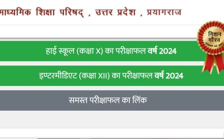 UP Board Result 2025: यूपी बोर्ड 10वीं और 12वीं का रिजल्ट घोषित, यहां देखें डायरेक्ट लिंक