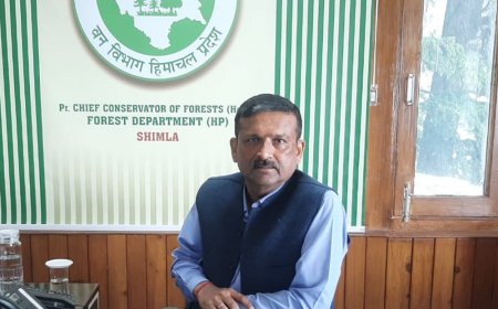 हिमाचल वन विभाग के मुखिया बने समीर रस्तोगी:मुख्य सचिव ने जारी किए आदेश; जुलाई 2025 में रिटायर होंगे