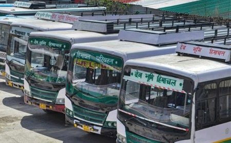 हिमाचल में कारों-बसों में कूड़ादान रखना अनिवार्य:आज से उल्लंघन पर 10 हजार जुर्माना; कचरा फेंका तो 1500 रुपए पैनल्टी देनी होगी