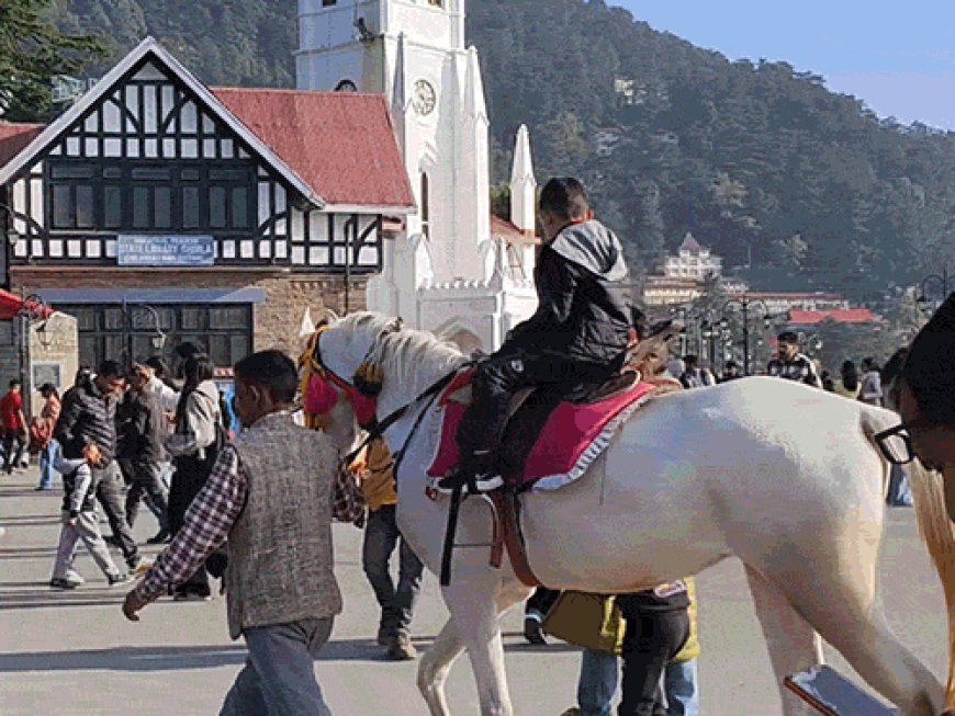 हिमाचल में 4 दिन बारिश के आसार:आज से एक्टिव होगा वेस्टर्न डिस्टरबेंस; तूफान और आसमानी बिजली गिरने की चेतावनी