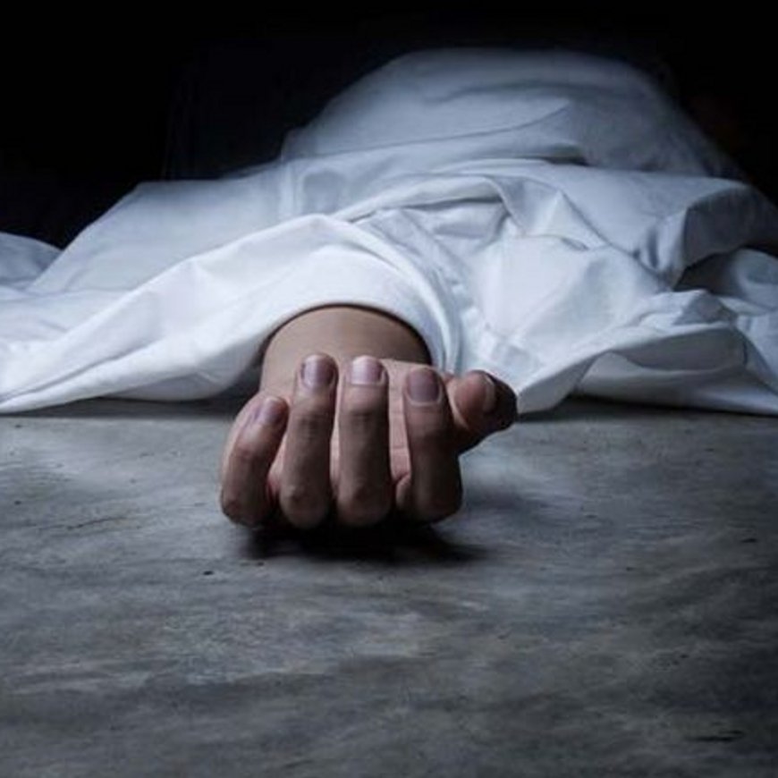 कुल्लू में मिला व्यक्ति का शव:राहगीरों को नाले में पड़ा दिखा, 2 दिन से था लापता
