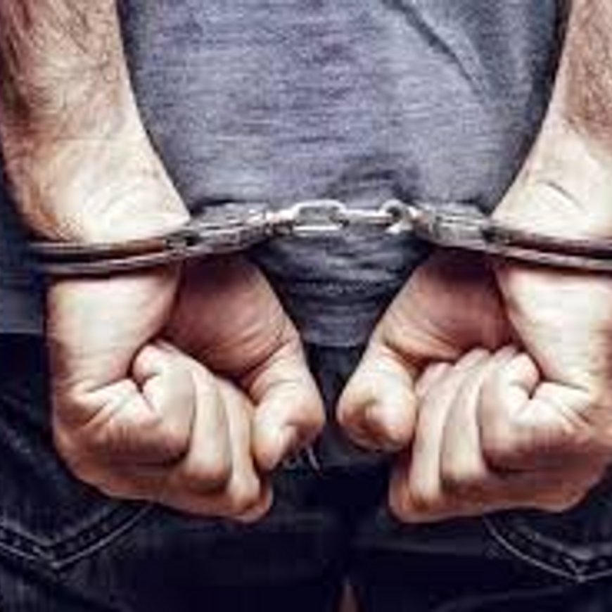 शिमला में फर्जी CID ऑफिसर बनकर बुजुर्ग से लूट:लिफ्ट देकर 29 हजार छीने, धक्का मारकर गाड़ी से बाहर फेंका, आरोपी गिरफ्तार