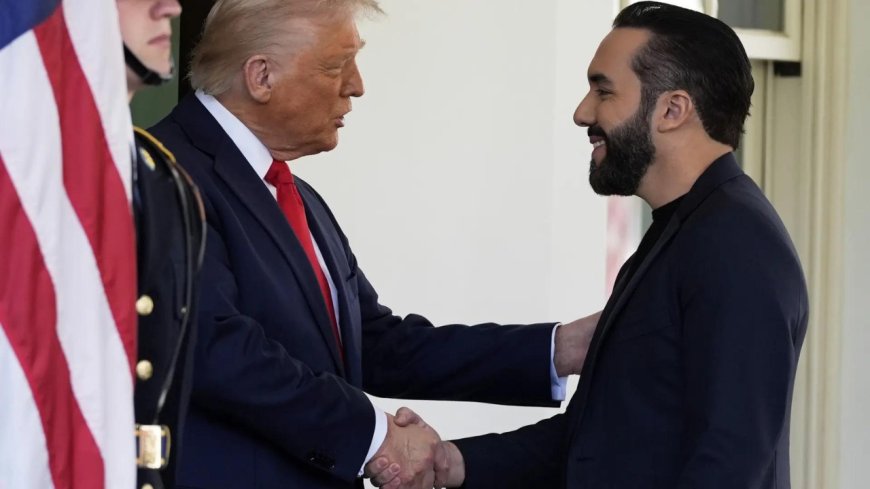 'Homegrowns are next': Did Trump tell El Salvador president to make space for US criminals?