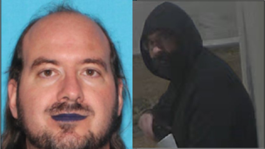 Who is Jamison Wagner, lipstick-wearing man charged with arson attacks on Republican Party office, Tesla dealership in New Mexico?