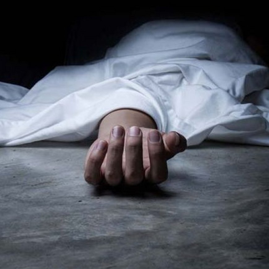 शिमला में टिपर खाई में गिरा:ड्राइवर की मौत, बजरी लेकर जा रहा था, शिमला-बिलासपुर NH पर हादसा