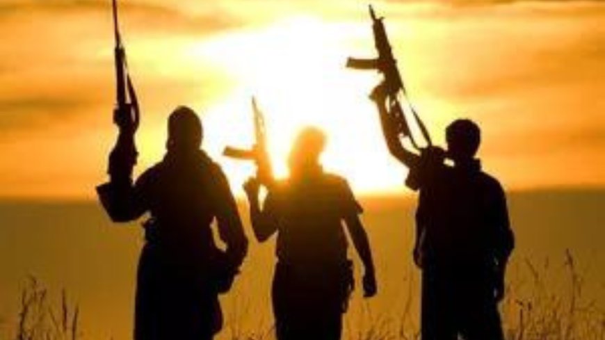 'Terrorist nature': Gunmen target Chinese-built hydroelectric plant in Chile