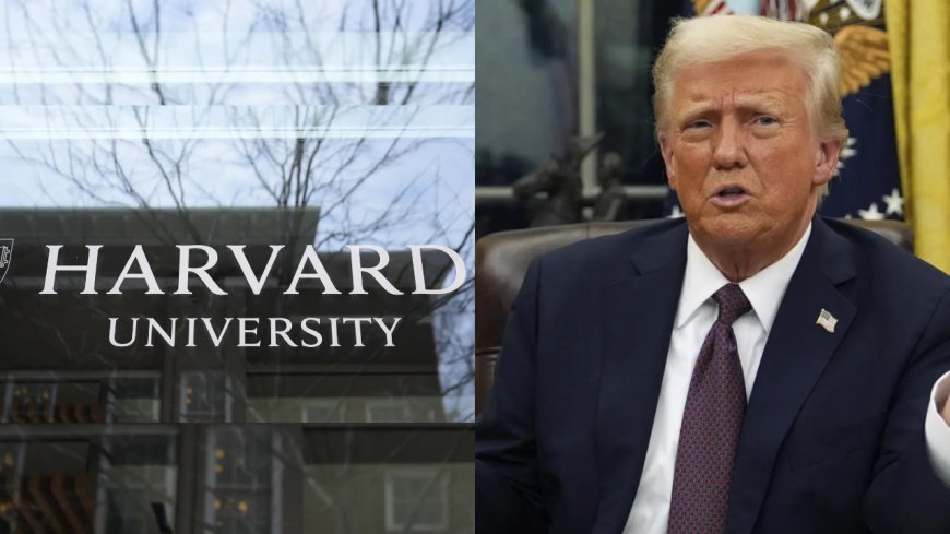 Harvard University commits to reform following antisemitism and anti-Arab discrimination findings