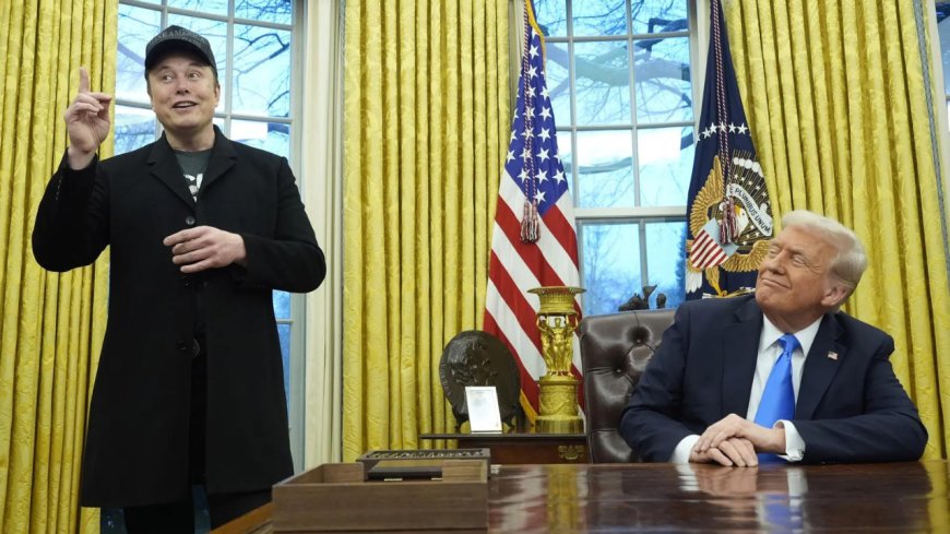 Stay as long as you want in the administration: Donald Trump to Elon Musk