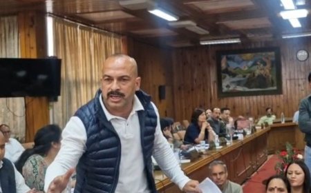 शिमला निगम की बैठक में कुत्तों के मुद्दे पर हंगामा:कांग्रेस पार्षद बोले-शहर में बढ़ रहा आतंक, हाउस 10 मिनट के लिए करना पड़ा स्थगित