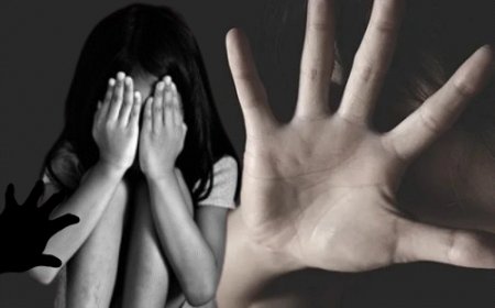 चंबा में पटवारी पर लड़की से छेड़छाड़ का आरोप:बोली- सर्टिफिकेट बनवाने गई थी ऑफिस, घर आने को कहा