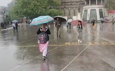 हिमाचल में तेज बारिश, भीगते हुए स्कूल पहुंचे बच्चे:5 जिलों में ऑरेंज अलर्ट, तापमान में गिरावट; अगले 6 दिन बरसेंगे बादल