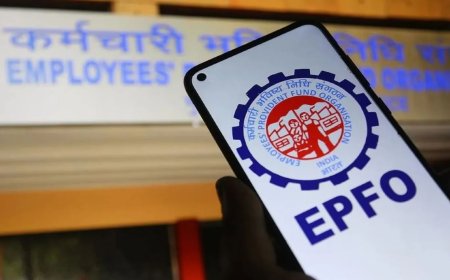 EPF पासबुक का पासवर्ड रिसेट करने का आसान तरीके, से स्टेप करें फॉलों