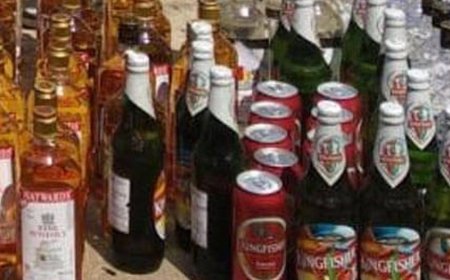 कुल्लू में अवैध शराब की खेप पकड़ी:दो युवक गिरफ्तार, एक से 25 पेटी, दूसरे से 36 बोतल बरामद