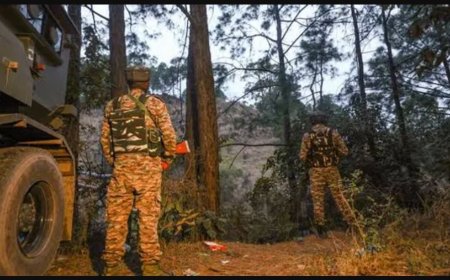 पाकिस्तान ने फिर किया संघर्षविराम का उल्लंघन, भारतीय सेना ने दिया करारा जवाब