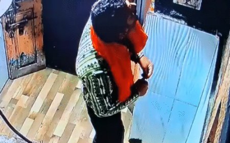 मंडी के नीलकंठ मंदिर में चोरी, VIDEO:भगवा पटका पहने रात 3 बजे घुसा चोर; दानपात्र से चुराया कैश, सीसीटीवी में दिखा